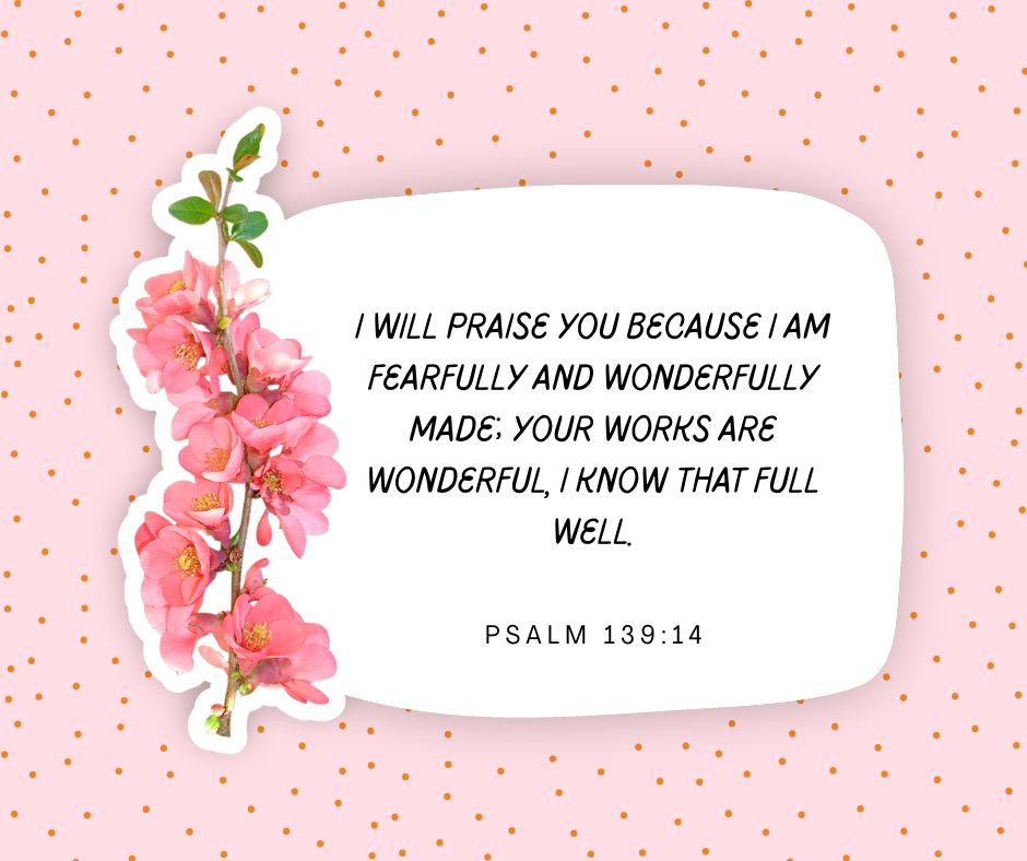 Good morning, Tuesday. Blessings with Bible Verses