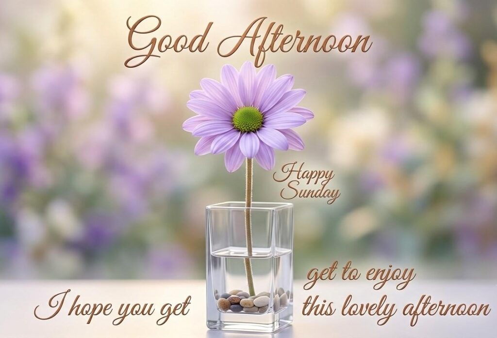 Good Afternoon Sunday Blessings Quotes